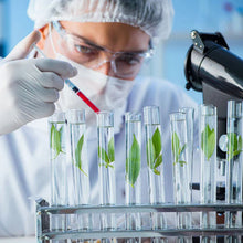 Load image into Gallery viewer, Cheemex® Bee Toxin Nodular Acupoint Stimulating Patch Treats Diabesity, Obesity, High Blood Sugar Level