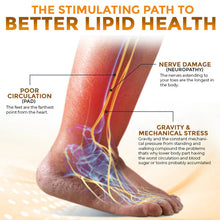 Load image into Gallery viewer, Cheemex® Bee Toxin Nodular Acupoint Stimulating Patch  Treats Diabesity, Obesity, High Blood Sugar Level
